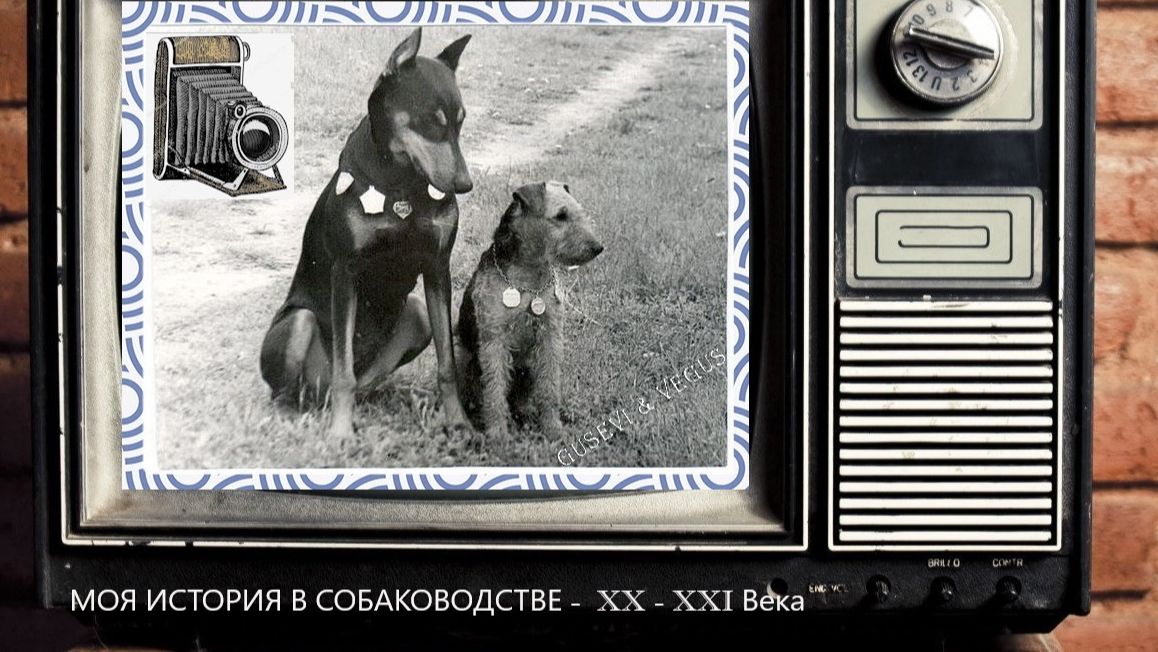 Большой ПАК