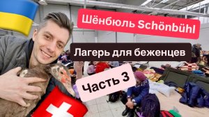 Швейцария. Лагерь для беженцев из Украины. Где принимают Украинцев в Швейцарии 2025-2026