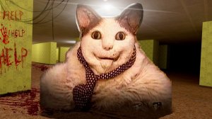 СБЕГАЕМ ИЗ ЗАКУЛИСЬЯ ОТ СТРАШНОГО КОТА БУ , ИСПУГАЛСЯ