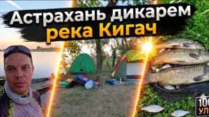 РЫБАЛКА в Астрахани Июнь 2026 года. Ловим сазана. Отдых дикарем.