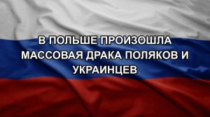 В Польше произошла массовая драка поляков и украинцев