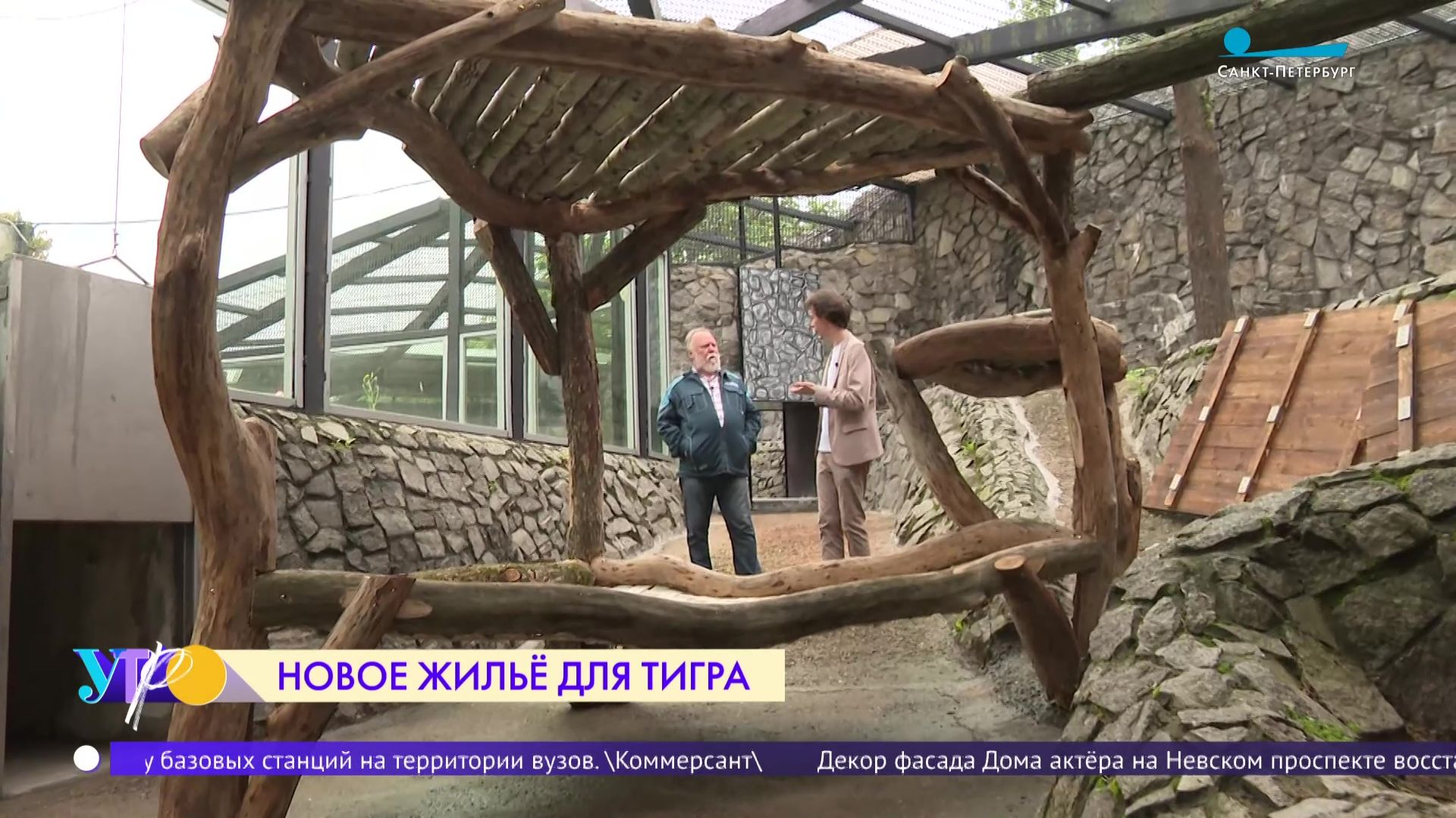 Новое жильё для тигра в Ленинградском зоопарке