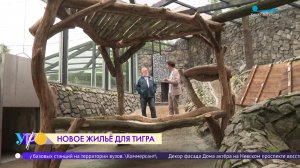Новое жильё для тигра в Ленинградском зоопарке