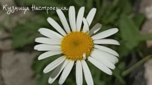 30 июня День Мануйло. Что нельзя делать сегодня. Народные Традиции и Приметы и Суеверия