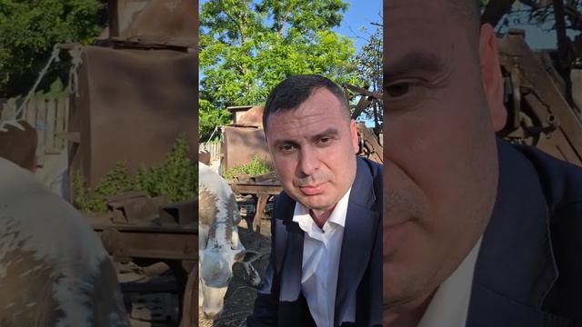 🔴 Pas fac dușmani din ce-i care lucrează... смотреть онлайн
