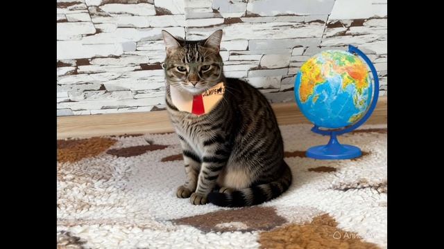 Если бы котики ходили в школу-2:Постройки учеников в майнкрафт