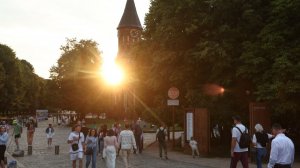 Аномальная жара добралась до Калининграда