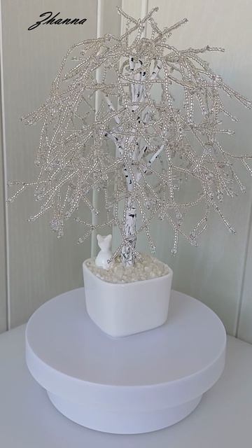 Настольные деревья, ловцы солнца (комнатные, садовые). Vk: Https://vk.com/id751273821 (в альбомах)