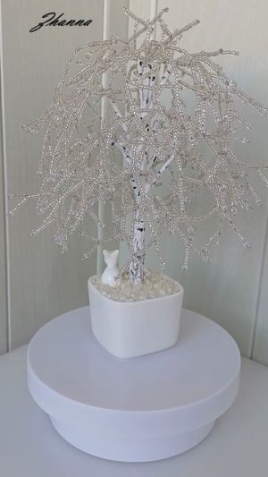 Настольные деревья, ловцы солнца (комнатные, садовые). Vk: https://vk.com/id751273821 (в альбомах)