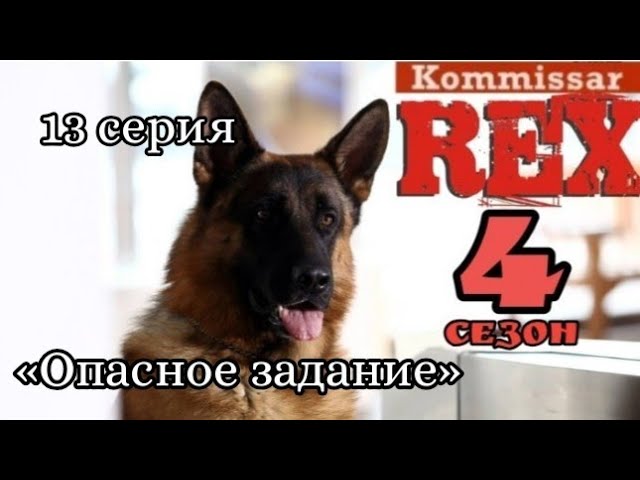 Комиссар Рекс, 4 сезон, 13 серия «Опасное задание»