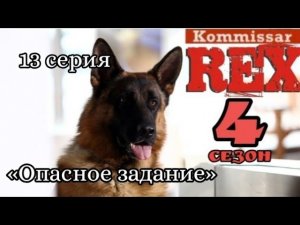 Комиссар Рекс, 4 сезон, 13 серия «Опасное задание»