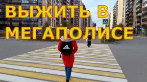 Человейники в Мурино. Как выжить в мегаполисе при излучениях? Жизнь или выживание в большом городе?