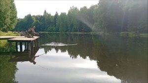 В рыбалке не бывает мелочей. Клёвое место, Лосиный остров, верхний водоём.