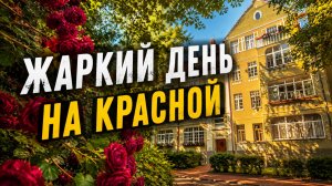 ЖАРА В КАЛИНИНГРАДЕ! Большая прогулка по улице Красной