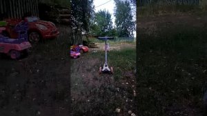 Ева и щенок на прогулке)