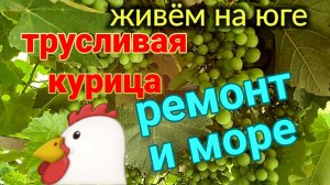 Трусливая курица. Море, чайки. Ремонт в коттедже. Ейск♥️ 2026