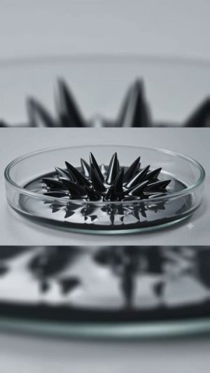 Магия Магнитов и Феррофлюид 🧲🖤 | Ferrofluid Science Magic #shorts