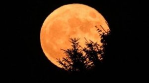 Что такое клубничная луна? Что нужно знать об июньском полнолунии