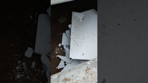 Мой будущий дом