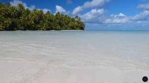 Midday Oasis 💙✨ - Tropical Music - Chill Vibes