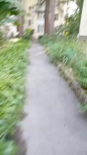 гуляю