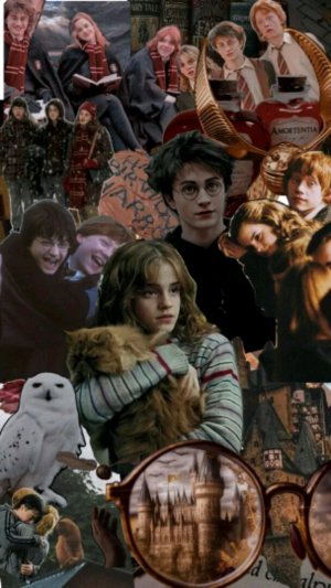 сквиши