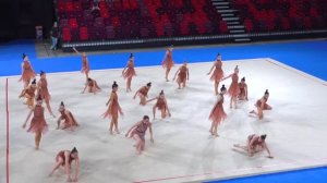 «Специальный репортаж. «Гимнастрада», 2026 г.