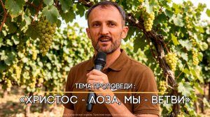 Христос - Лоза, мы  - ветви.
