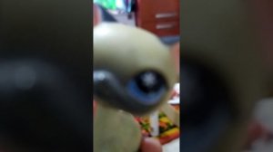 разговорное видео со мной как всегда