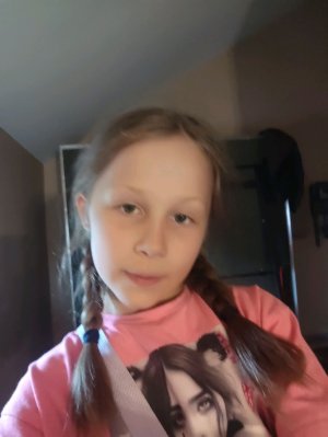 цыплята