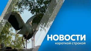 Новости короткой строкой 29.06.2026г.