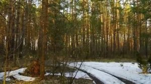 ВЕСНА    Вокал Виталий Жмурко.