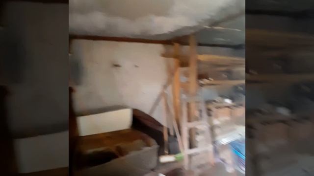 ипипнипе смотреть онлайн