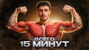 Тебе нужно ВСЕГО 15 Минут, чтобы НАКАЧАТЬСЯ ДОМА (схема 2026г)
