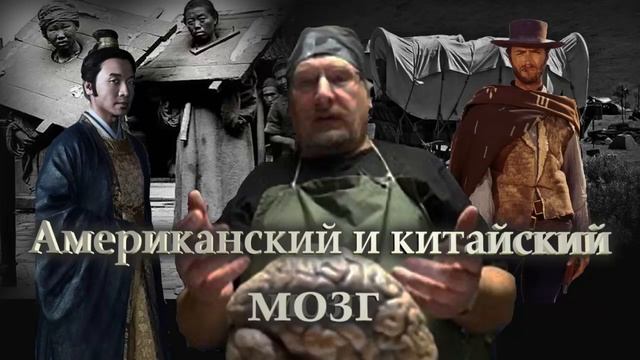 Мозг американцев и китайцев. Большая разница