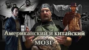 Мозг американцев и китайцев. Большая разница