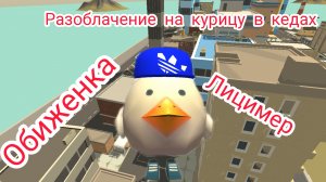 Разоблачение на курицу в кедах