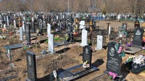 Топ 5 сиреноголовый снятых на камеру.