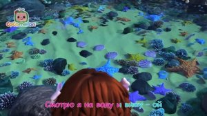 Морские Животные  🐬🐠   CoComelon на русском — Детские песенки