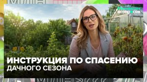 Что срочно посадить и обрезать в конце июня? Инструкция дачного сезона | Миллион вопросов —Москва 24