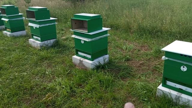 Привез отводки карники 29 июня 2026 года... смотреть онлайн