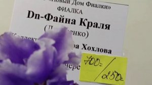 28.06.2026.Москва. Выставка фиалок в Доме фиалки. Есть новинки!