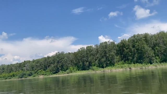 43438.mp4 смотреть онлайн