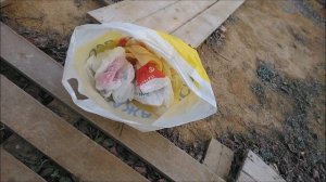 Небольшое ЧП на участке. В бытовку забралась мышь. Первая мышь за 3 года