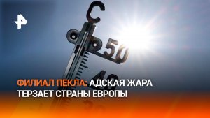Жертвами экстремальной жары в Европе стали более 1,3 тыс. человек
