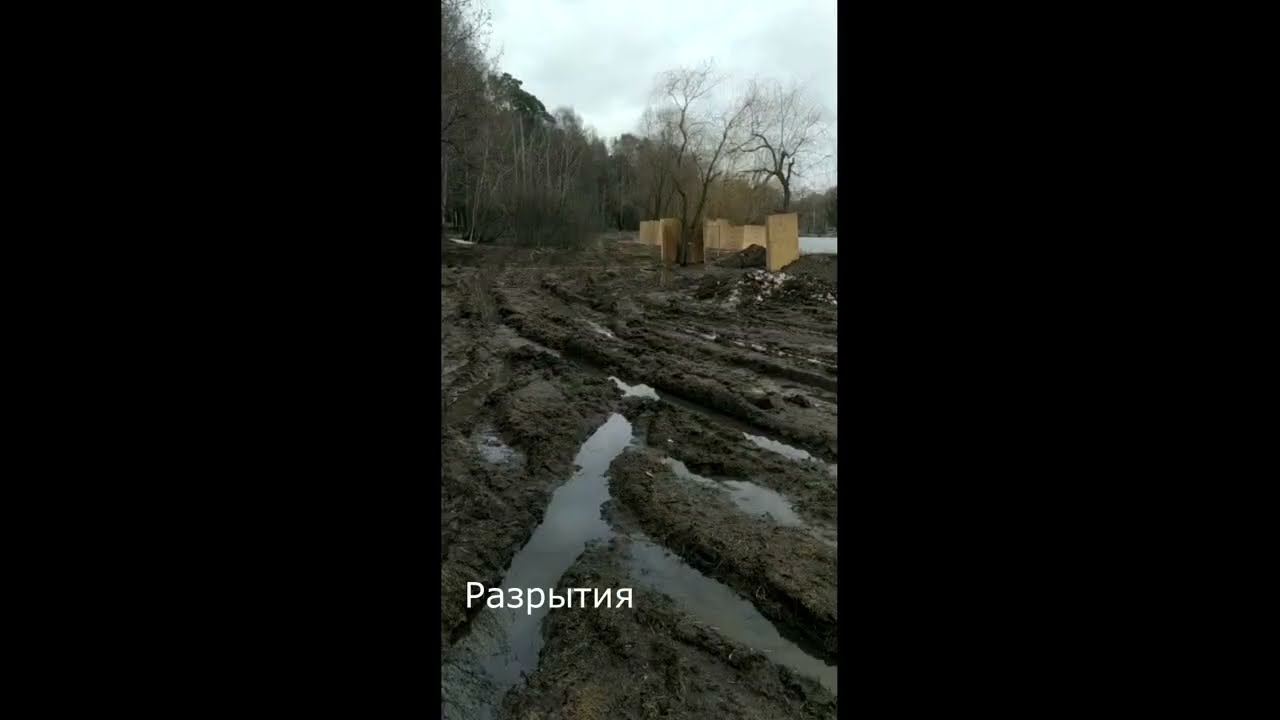 13 апреля 2022. Департамент капремонта реабилитирует ООПТ через подрубку корней смотреть онлайн