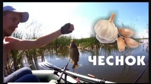 🎣 Рыбалка на чеснок | Карась | Туманное утро