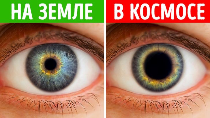 Как изменились бы люди за миллионы лет жизни в космосе 😱 смотреть онлайн