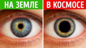 Как изменились бы люди за миллионы лет жизни в космосе 😱