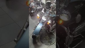 HARLEY-DAVIDSON FLSTN 2008 г.
